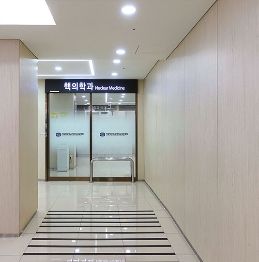 PNC52 Premium Solid Moon Stone in a real interior setting